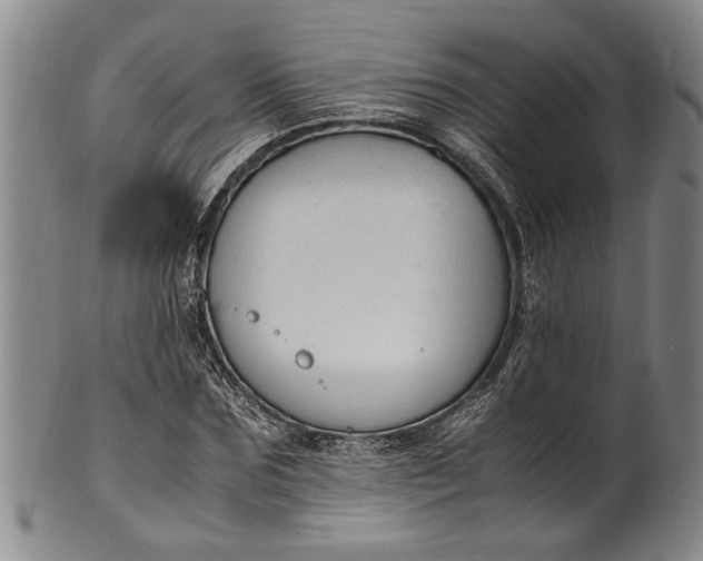 X0000102250875200808081408