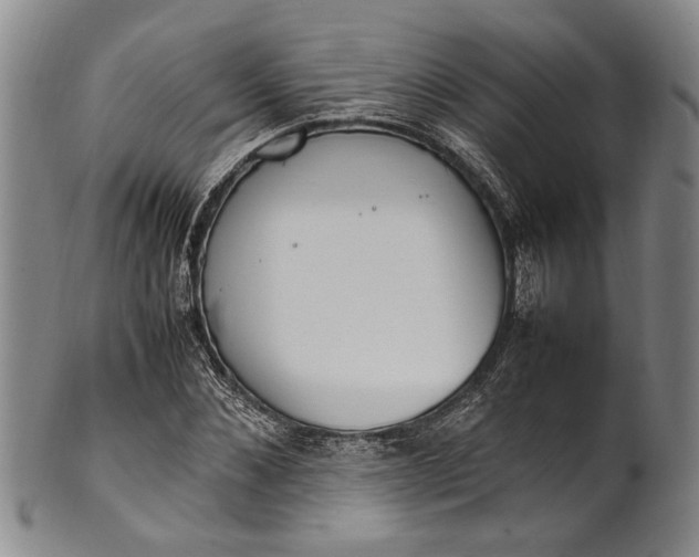 X0000102250876200808081408