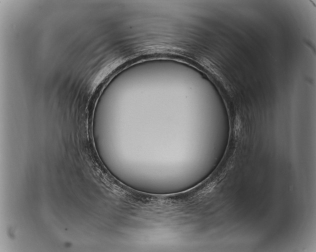 X0000102250877200808081408