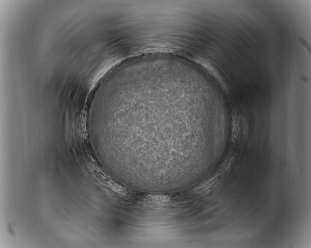 X0000102250878200808081408