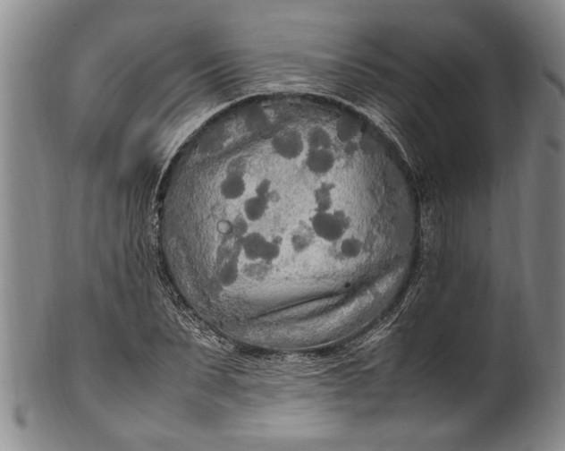 X0000102250879200808081408