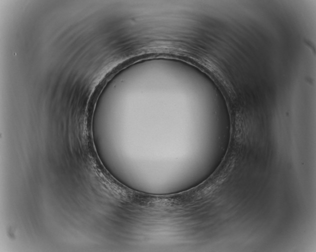 X0000102250880200808081408