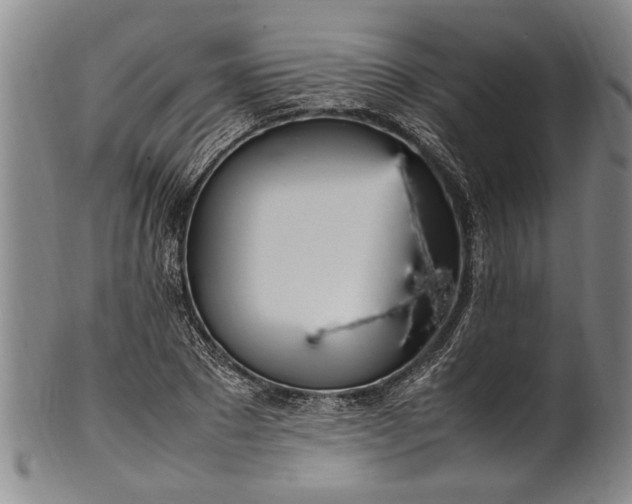 X0000102250881200808081408