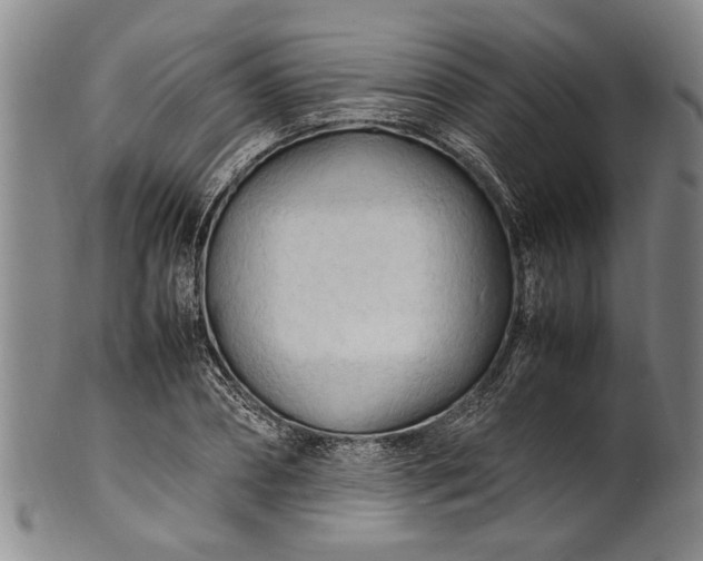 X0000102250882200808081408