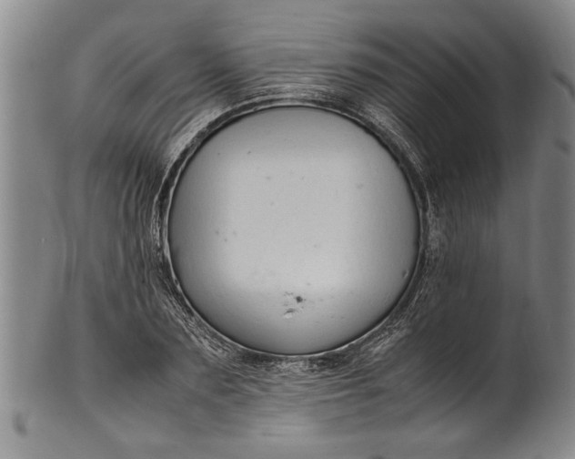 X0000102250883200808081408