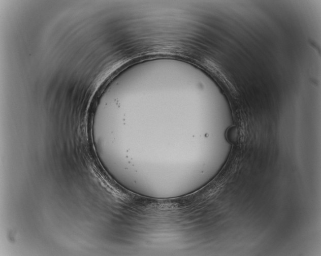 X0000102250884200808081408