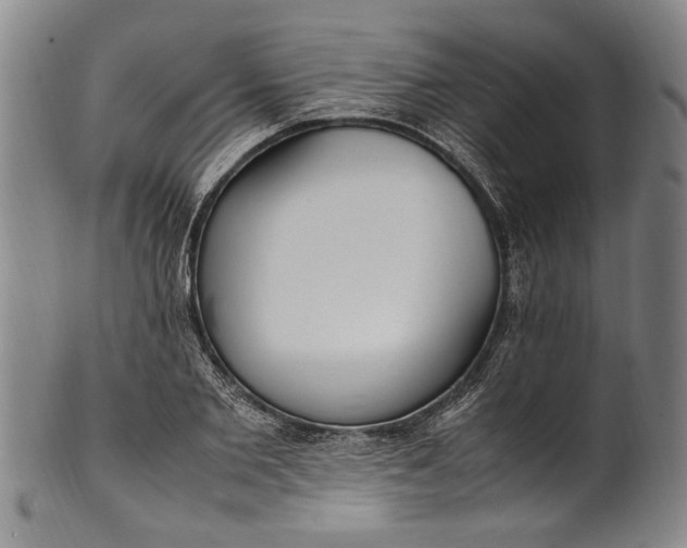 X0000102250885200808081408