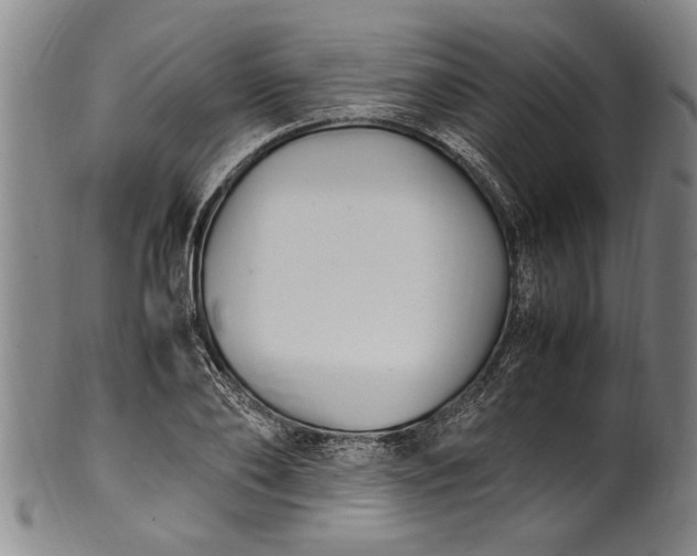 X0000102250886200808081408