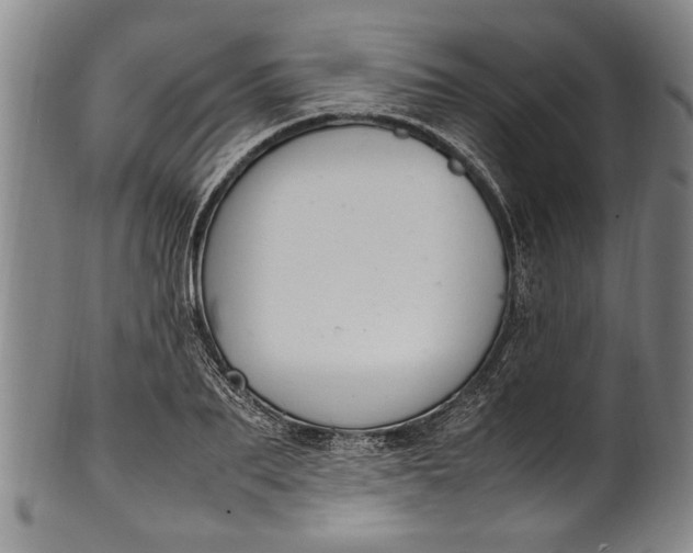 X0000102250887200808081408