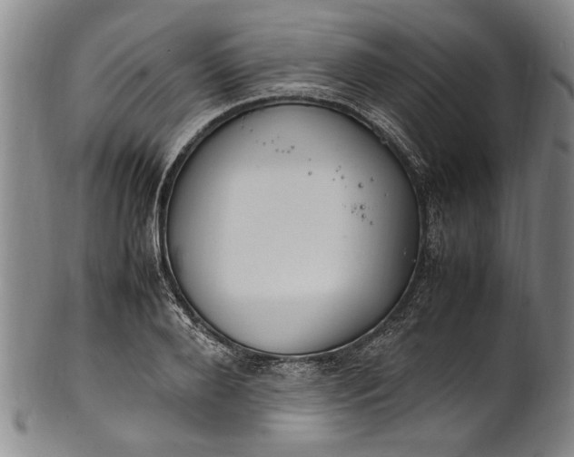 X0000102250888200808081408