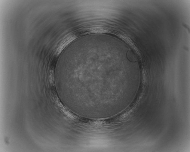 X0000102250889200808081408