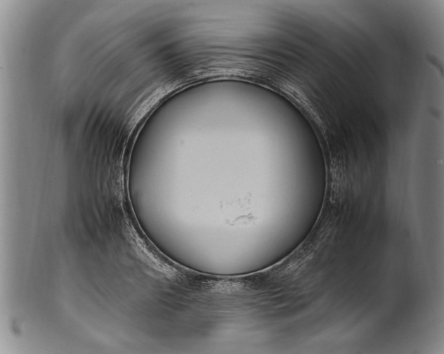 X0000102250890200808081408