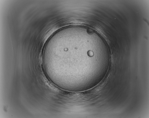 X0000102250891200808081408