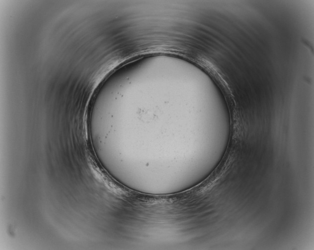 X0000102250892200808081408