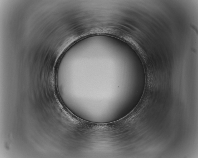 X0000102250894200808081408