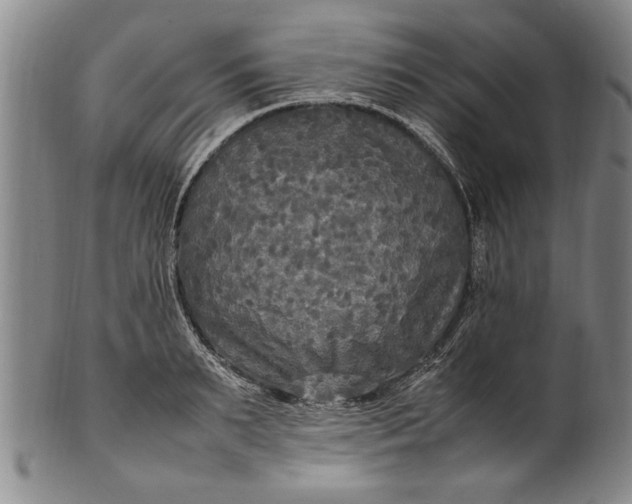 X0000102250895200808081408