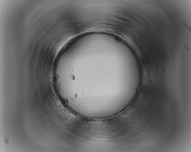 X0000102250896200808081408