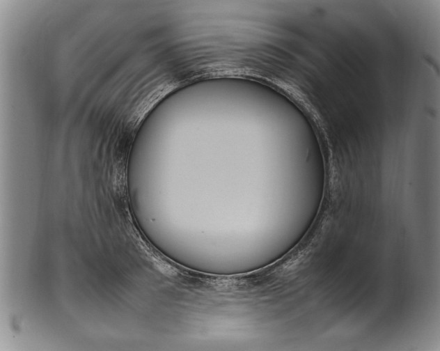 X0000102250897200808081408