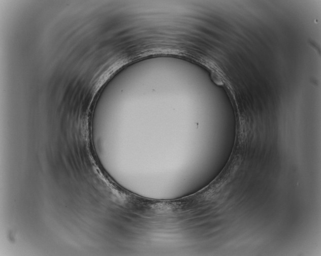 X0000102250898200808081408