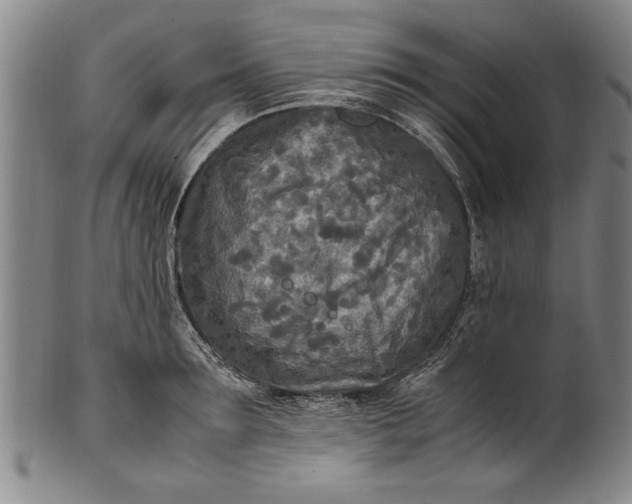 X0000102250899200808081408