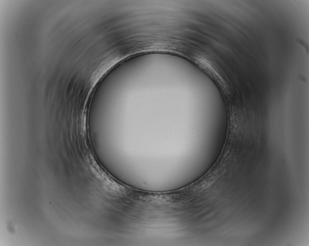 X0000102250900200808081408