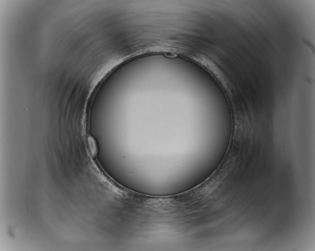 X0000102250902200808081408