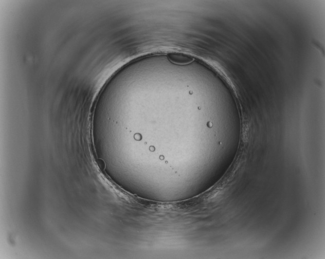 X0000102250903200808081408