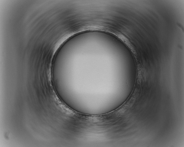 X0000102250904200808081408