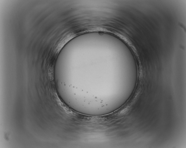 X0000102250905200808081408