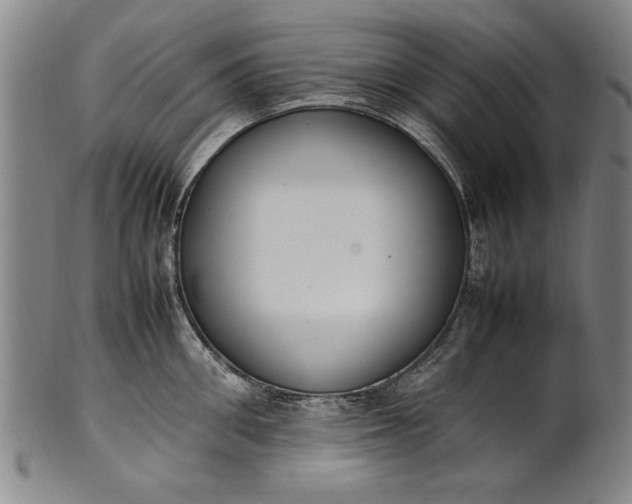 X0000102250906200808081408