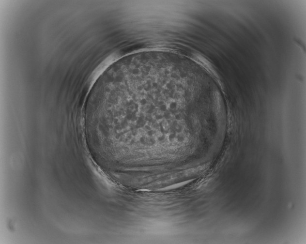 X0000102250907200808081408