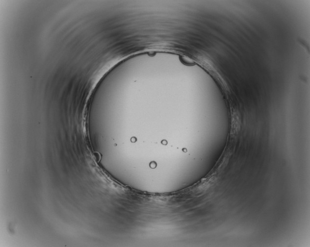 X0000102250908200808081408