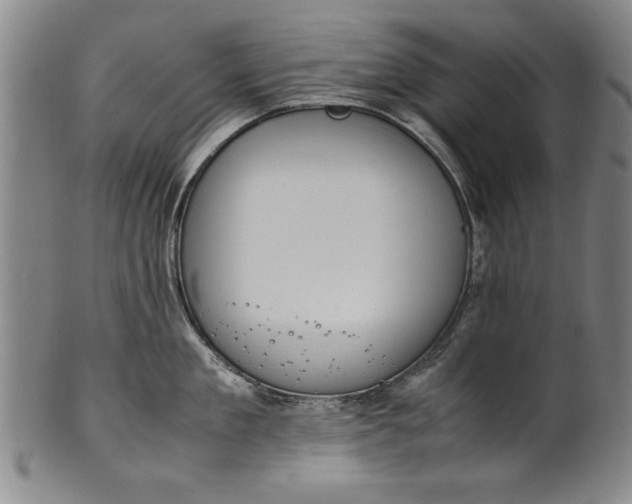 X0000102250909200808081408