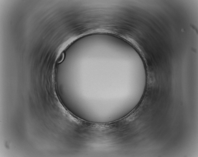 X0000102250910200808081408