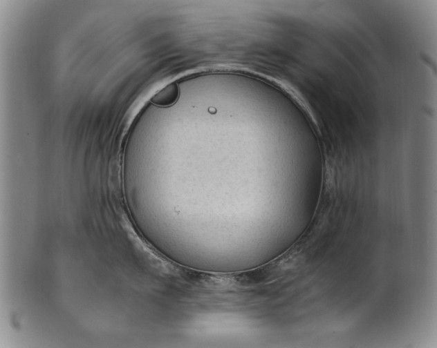 X0000102250911200808081408