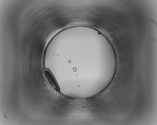 X0000102250912200808081408