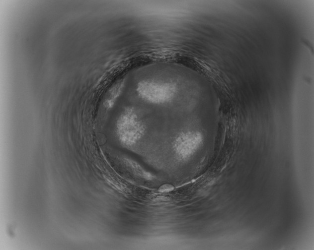 X0000102250913200808081407