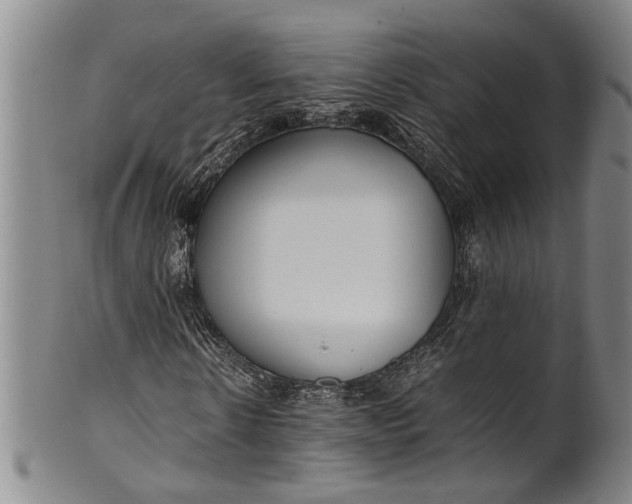 X0000102250914200808081407