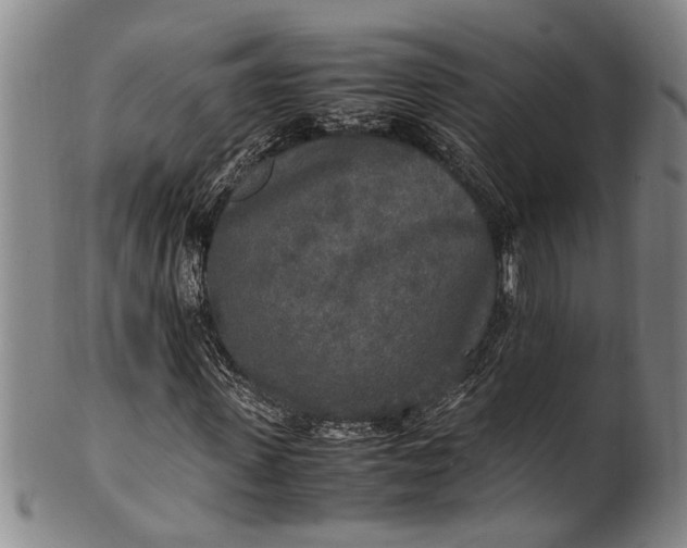 X0000102250915200808081407