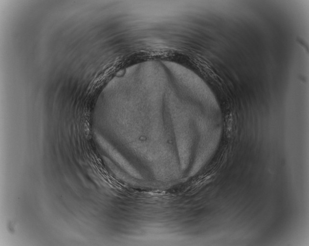 X0000102250916200808081407