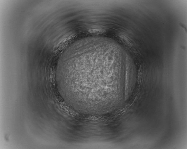 X0000102250917200808081407