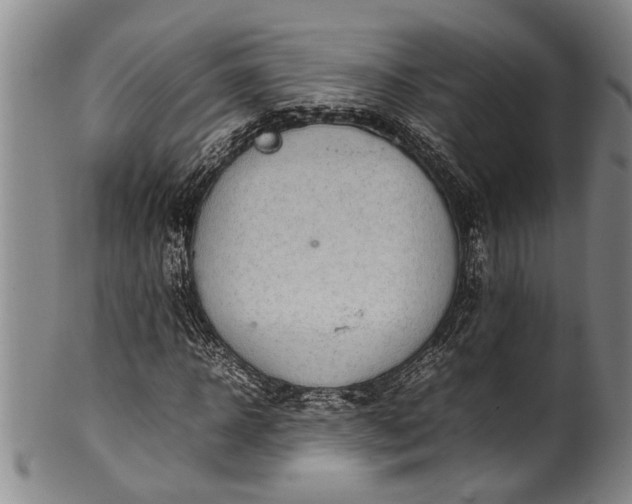 X0000102250918200808081407