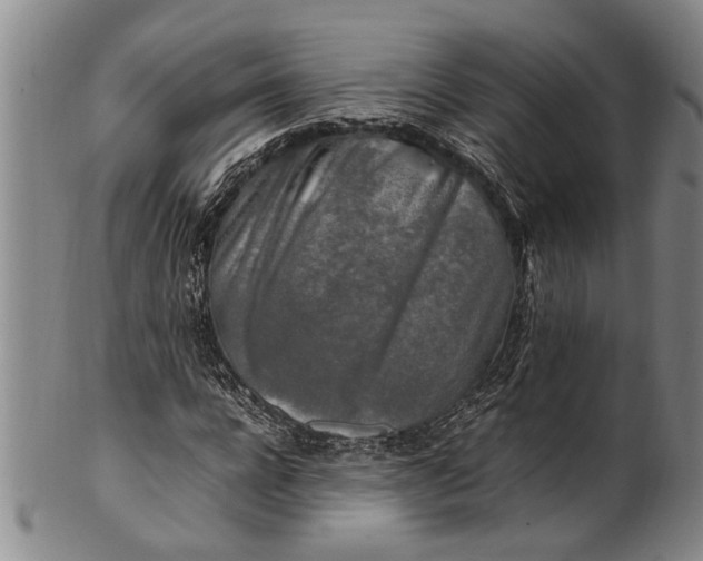 X0000102250920200808081407