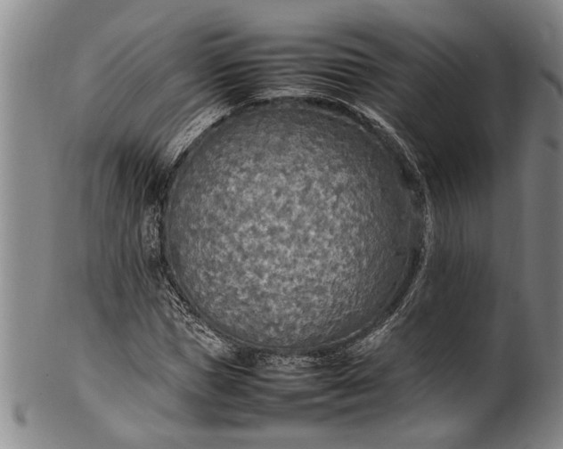 X0000102250921200808081407