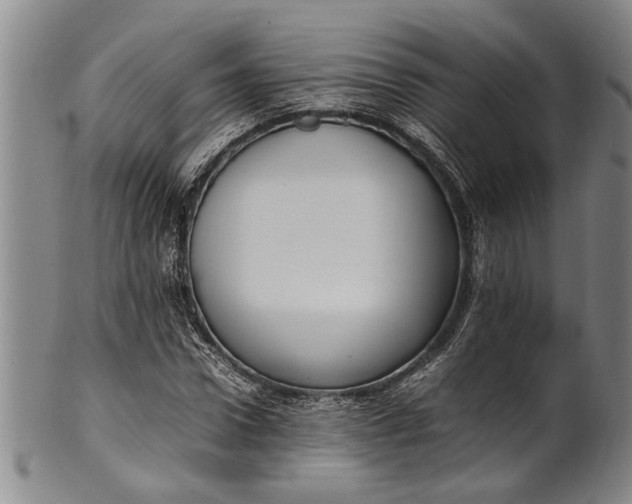 X0000102250922200808081407