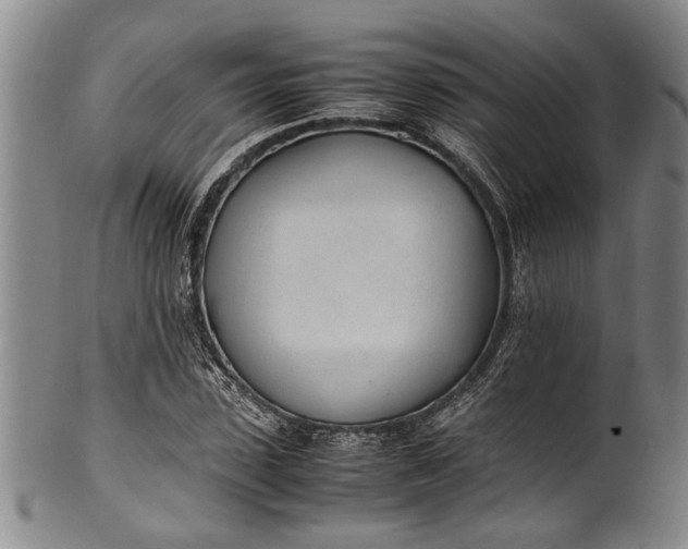 X0000102250923200808081407