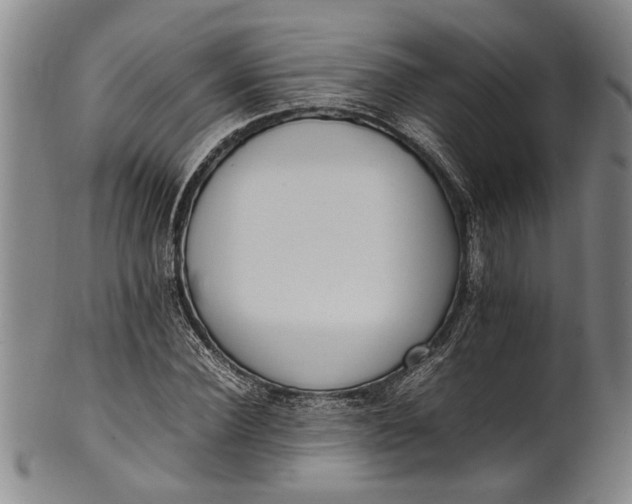 X0000102250924200808081407