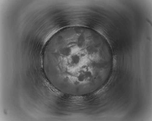 X0000102250925200808081407