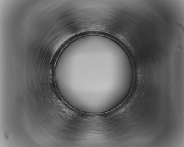 X0000102250926200808081407