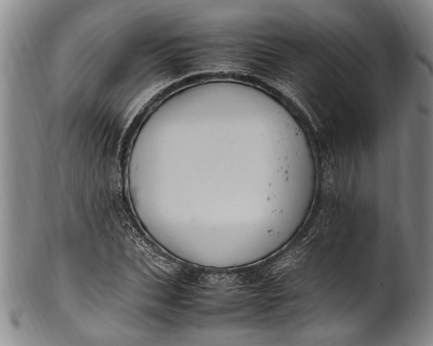 X0000102250927200808081407